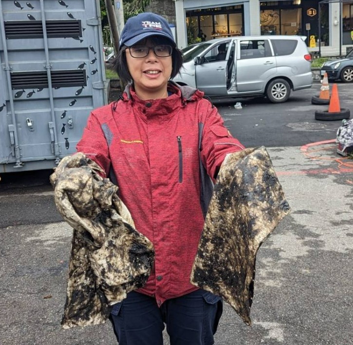 臺灣湛藍海洋聯盟-執行長 陳思穎